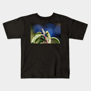 Hummingbird perched on a tree Kids T-Shirt